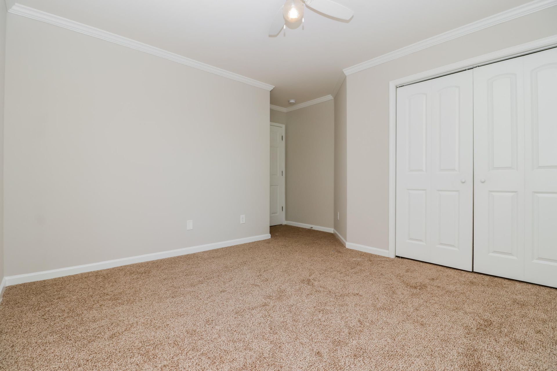 302 Sanctuary Park Drive Photo 13