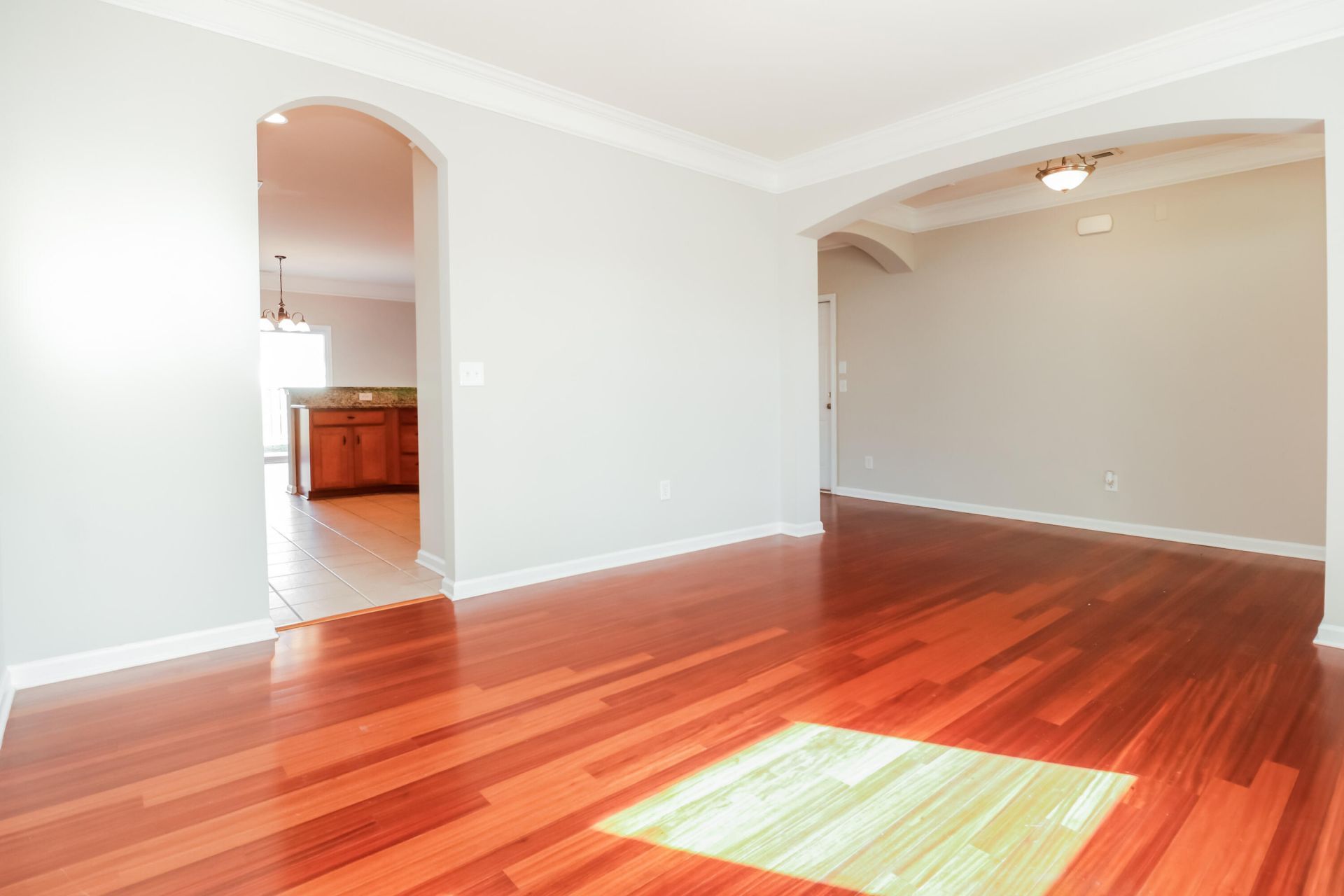 302 Sanctuary Park Drive Photo 5