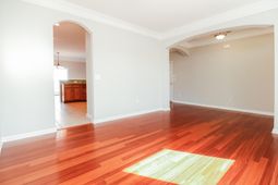 302 Sanctuary Park Drive photo 4