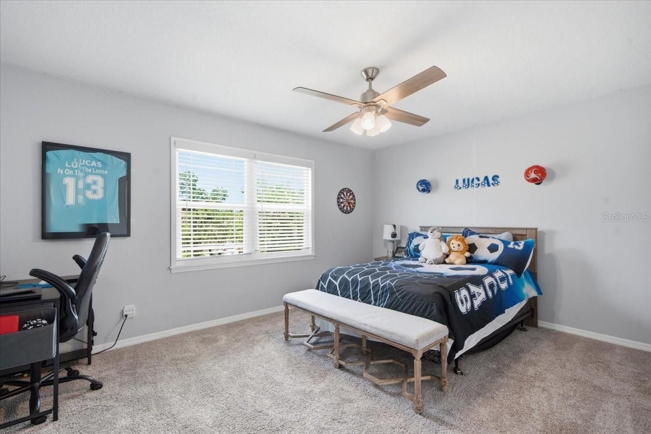 13101 Burnes Lake Drive, Tampa, FL 33612 Photo