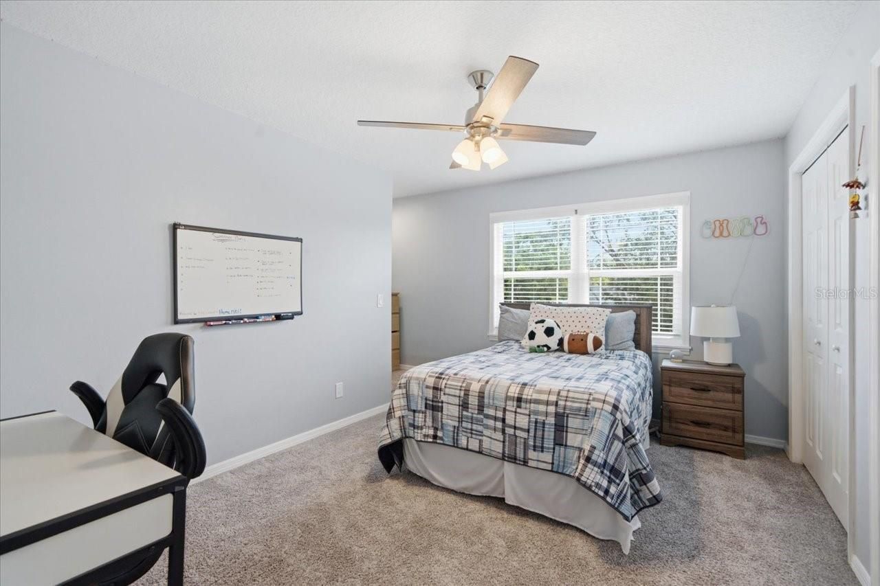 13101 Burnes Lake Drive, Tampa, FL 33612 Photo