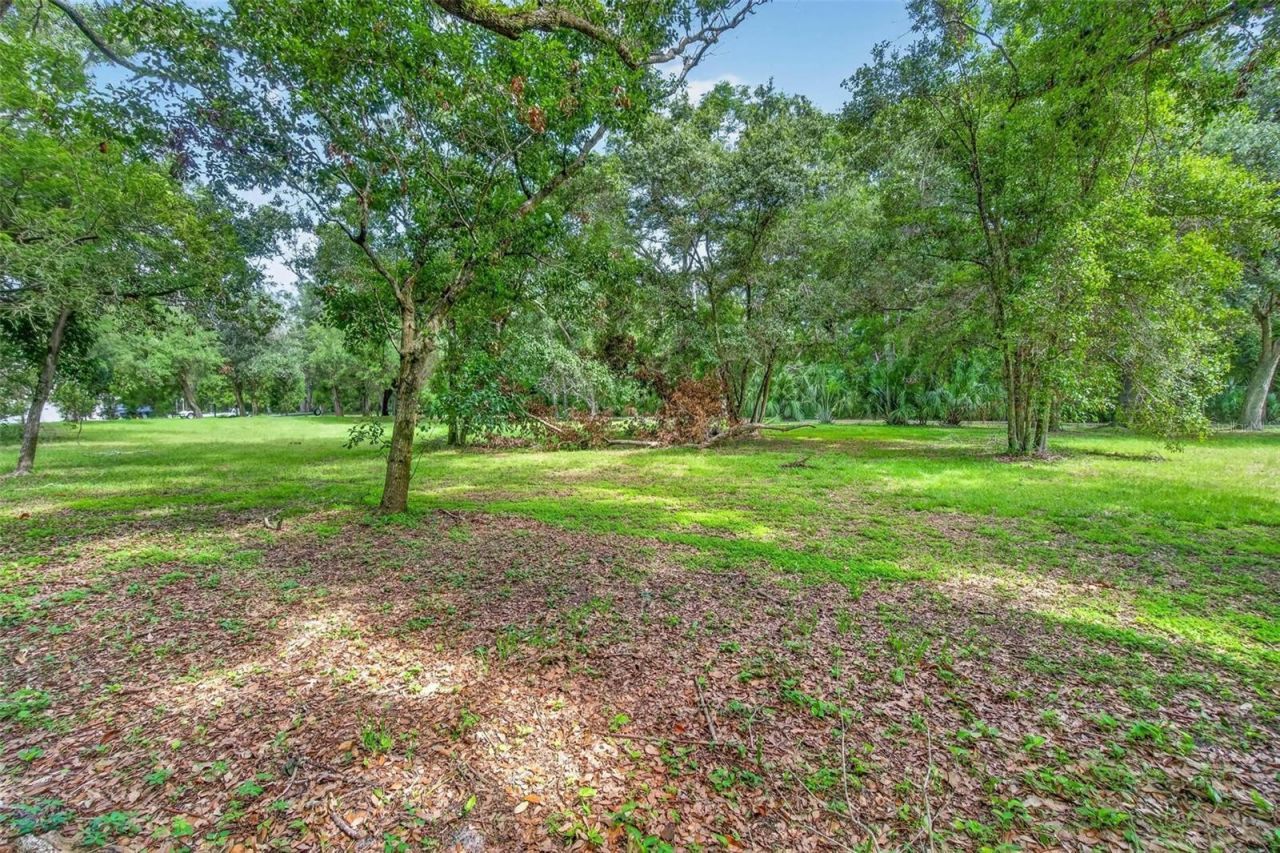 Abbey Lake Road, Clearwater, FL 33759 Photo