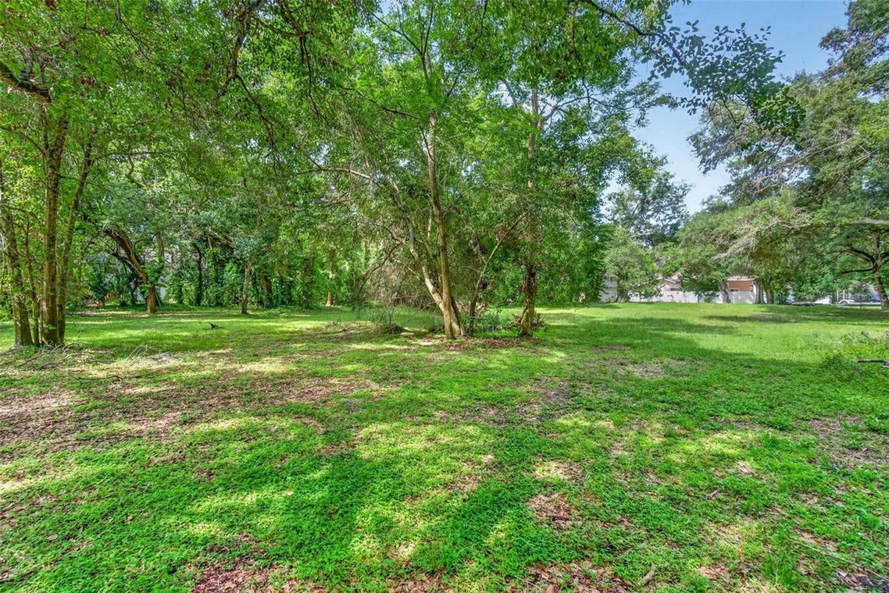 Abbey Lake Road, Clearwater, FL 33759 Photo