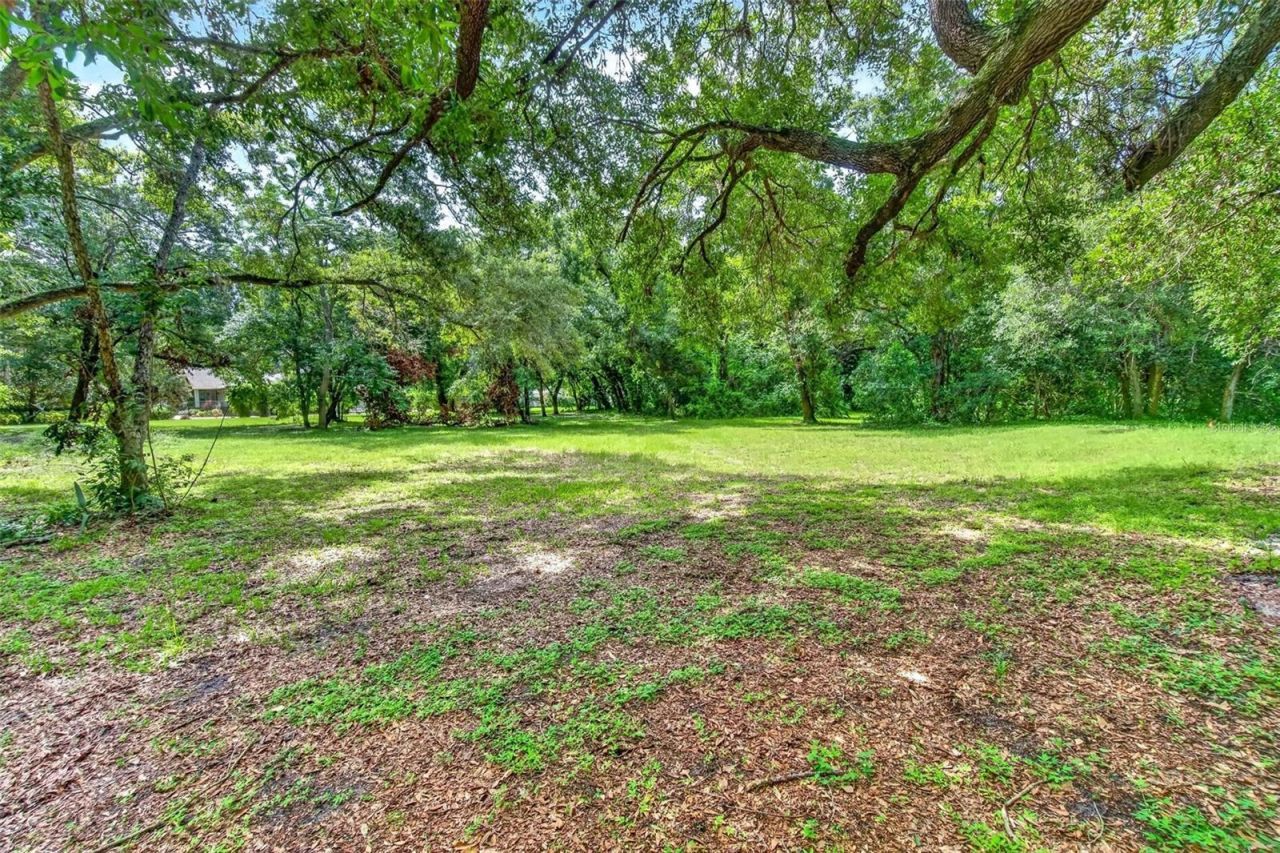 Abbey Lake Road, Clearwater, FL 33759 Photo