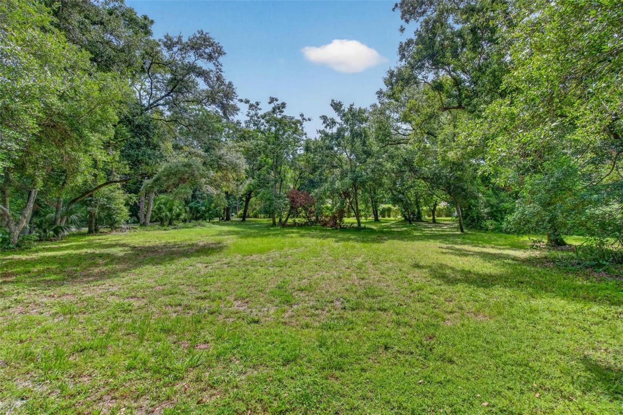 Abbey Lake Road, Clearwater, FL 33759 Photo