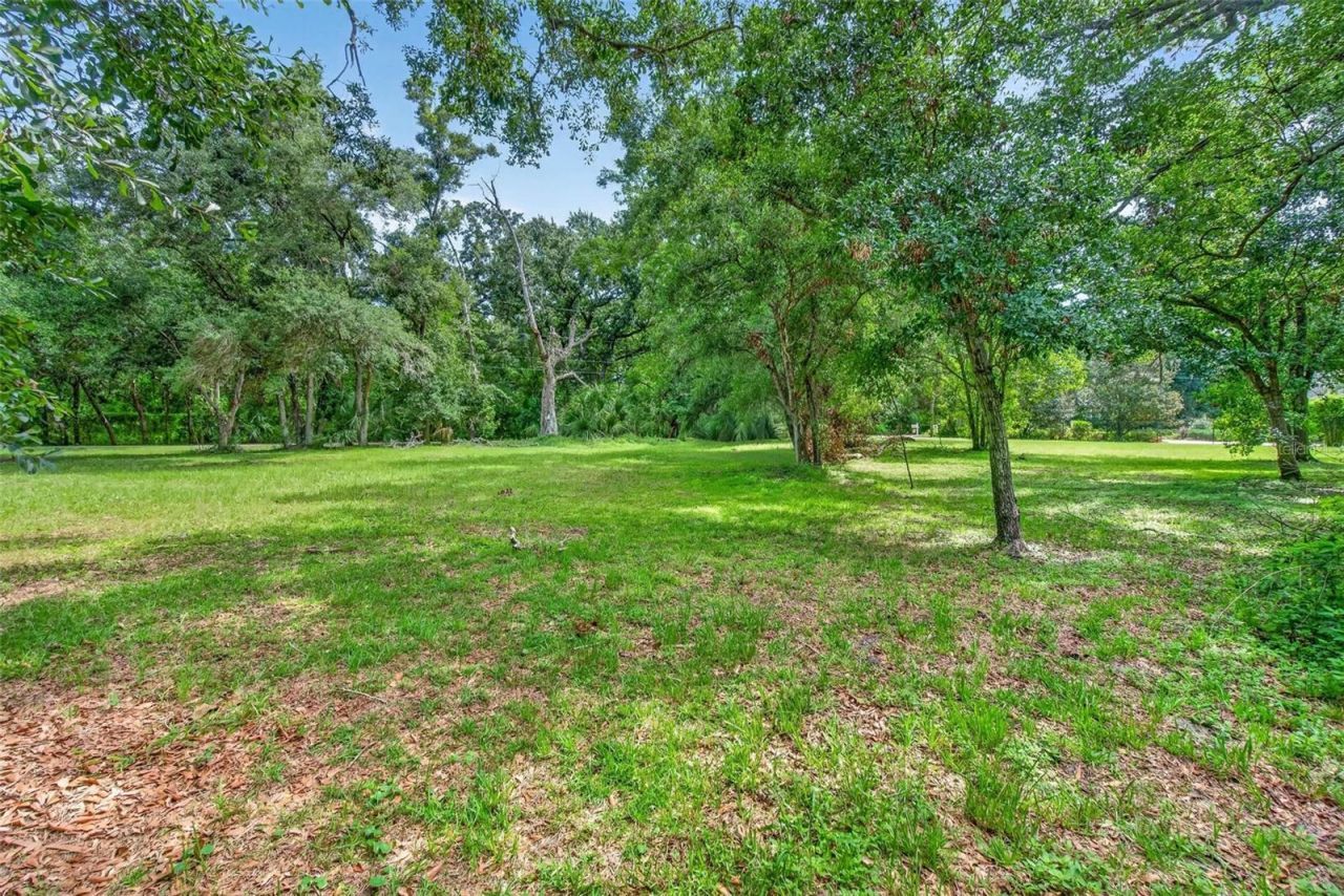 Abbey Lake Road, Clearwater, FL 33759 Photo