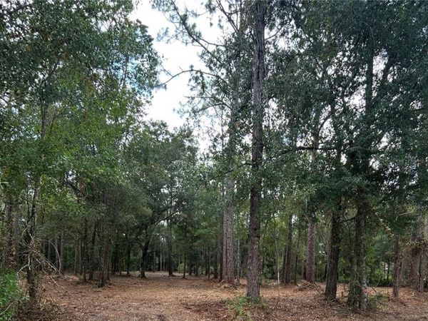 WESTPOINT DRIVE, WESLEY CHAPEL, FL 33544