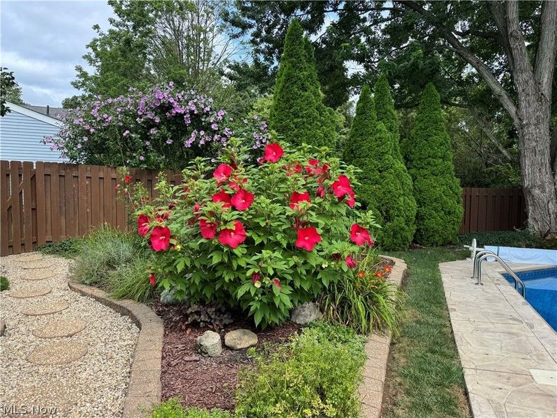 559 Berkshire Drive, Medina, OH 44256 Photo 5