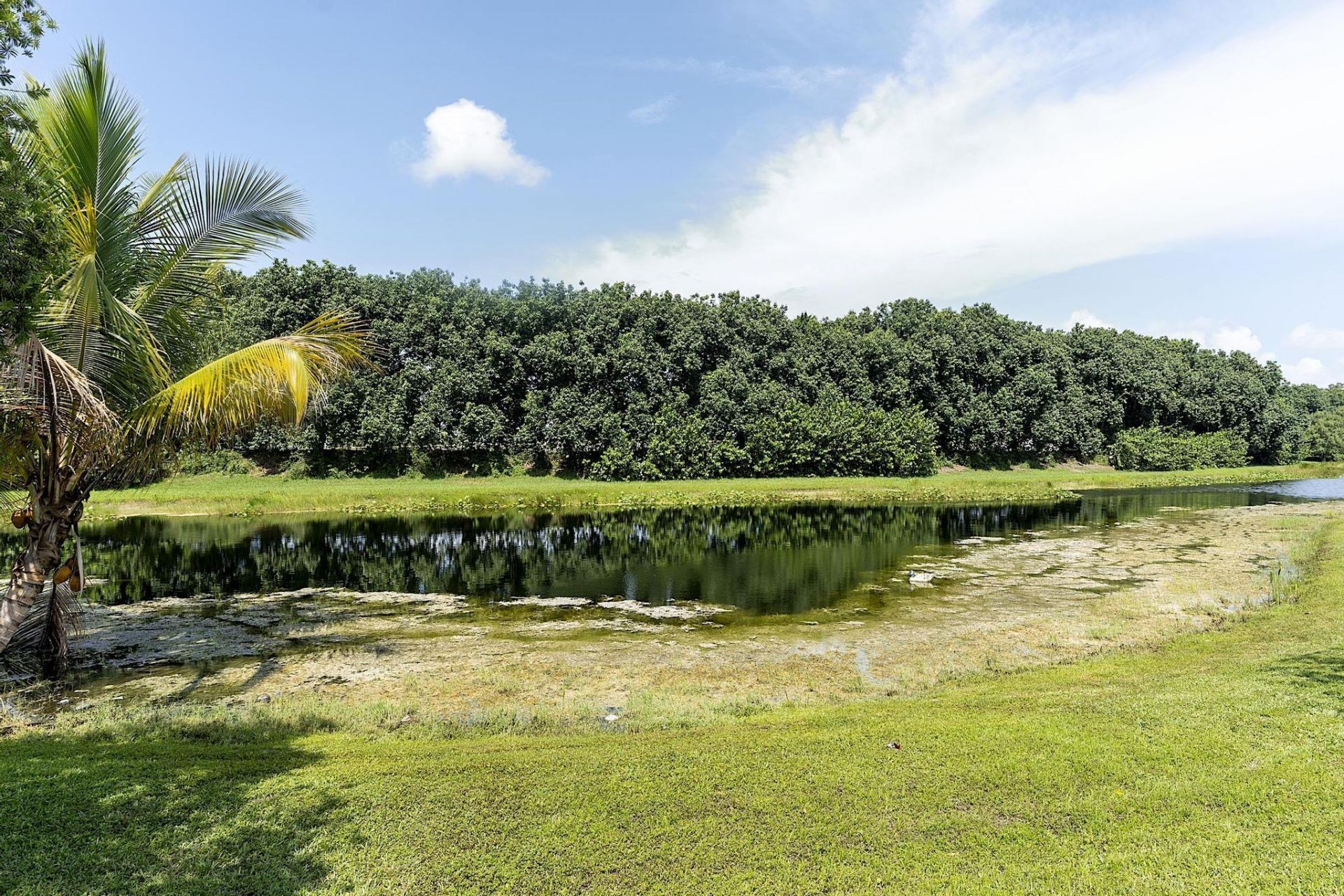 875 Bayside Lane, Weston, FL 33326 Photo