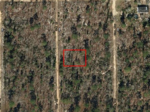 0 Grey Street, Interlachen, FL 32148