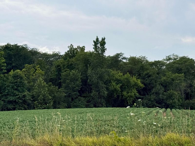 27775 Claibourne Road , Richwood, OH 43344 Photo 7