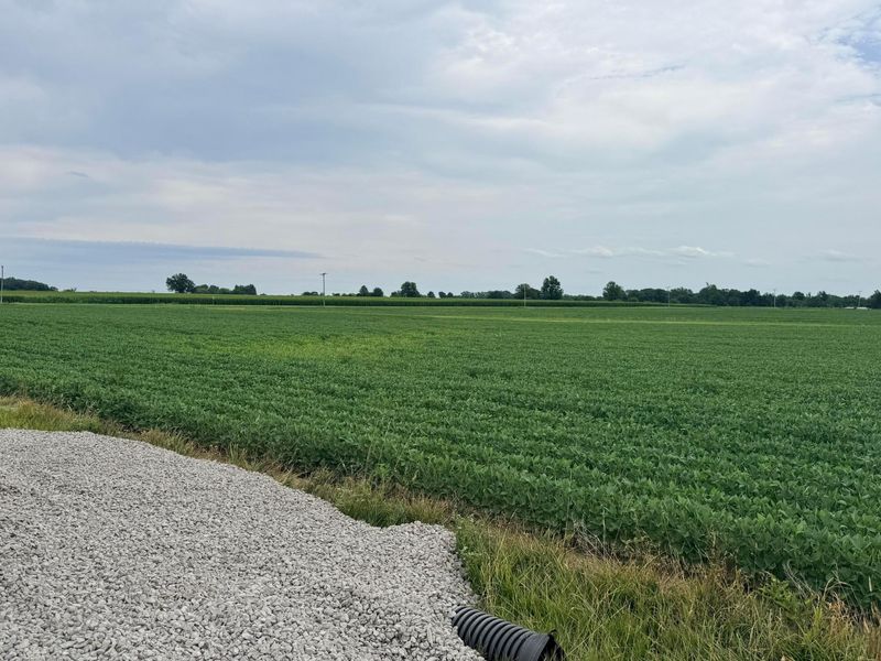 15603 State Route 47 , Richwood, OH 43344 Photo 3