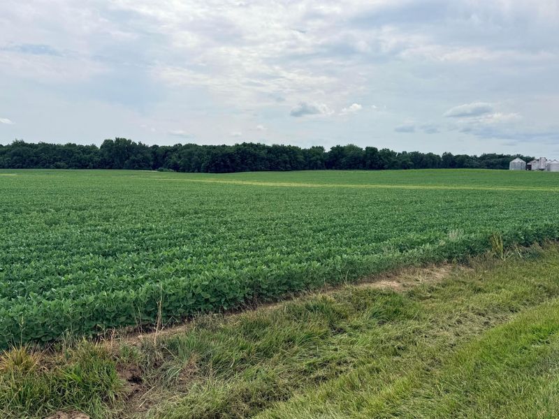 15603 State Route 47 , Richwood, OH 43344 Photo 4
