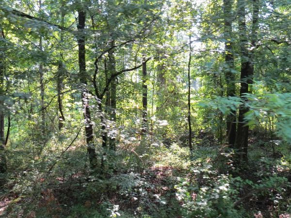 000 Highway 133 , Wilmar, AR 71675