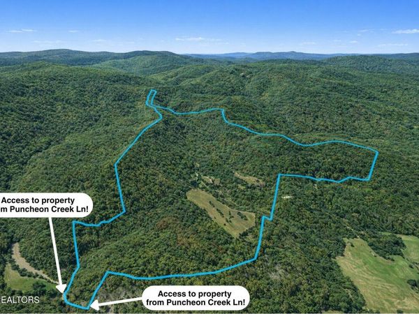 700 Acres Puncheon Creek Lane, Allred, TN 38542