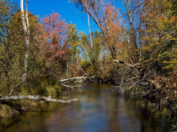 Wild River Way, Thompsonville, MI 49683
