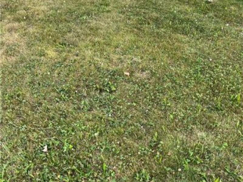 5684 West Creek, Trotwood, OH 45426 Photo 3