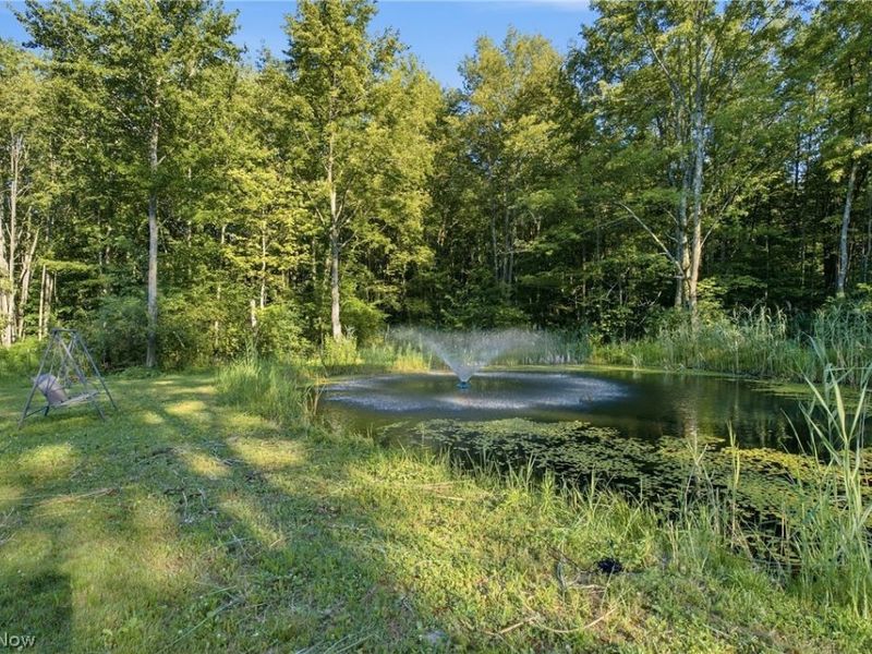 1318 Daly Road, Ashtabula, OH 44004 Photo 37
