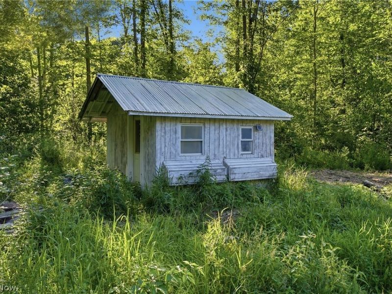 1318 Daly Road, Ashtabula, OH 44004 Photo 38
