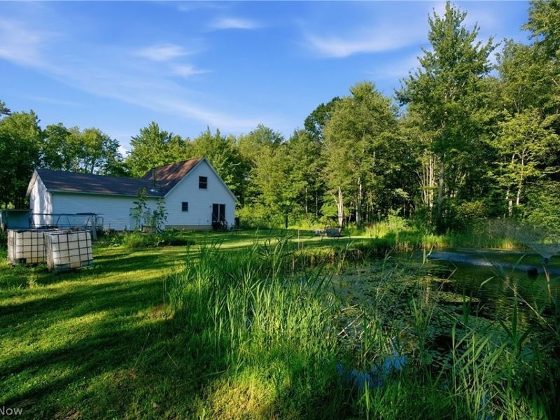 1318 Daly Road, Ashtabula, OH 44004 Photo 40