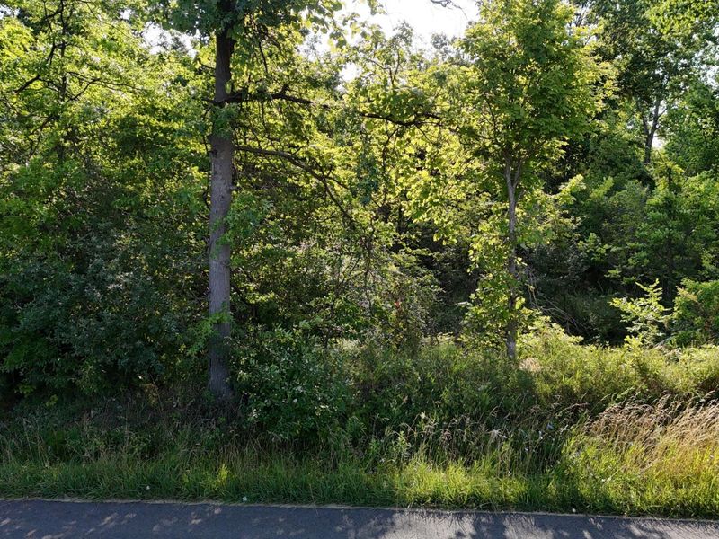 0 Lantz Road , Mansfield, OH 44906 Photo 34