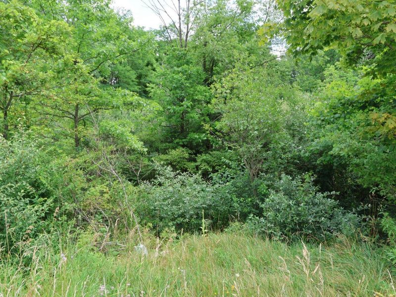 0 Lantz Road , Mansfield, OH 44906 Photo 5