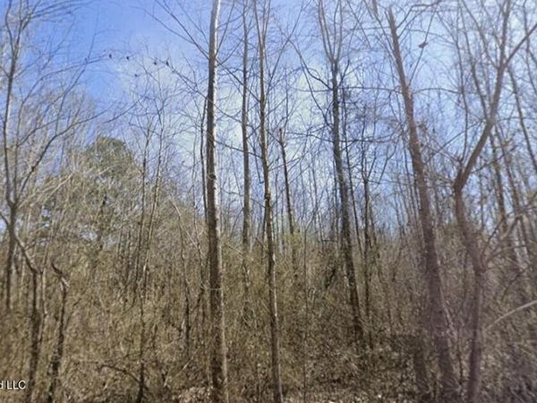 Co Rd 636 , Corinth, MS 38834