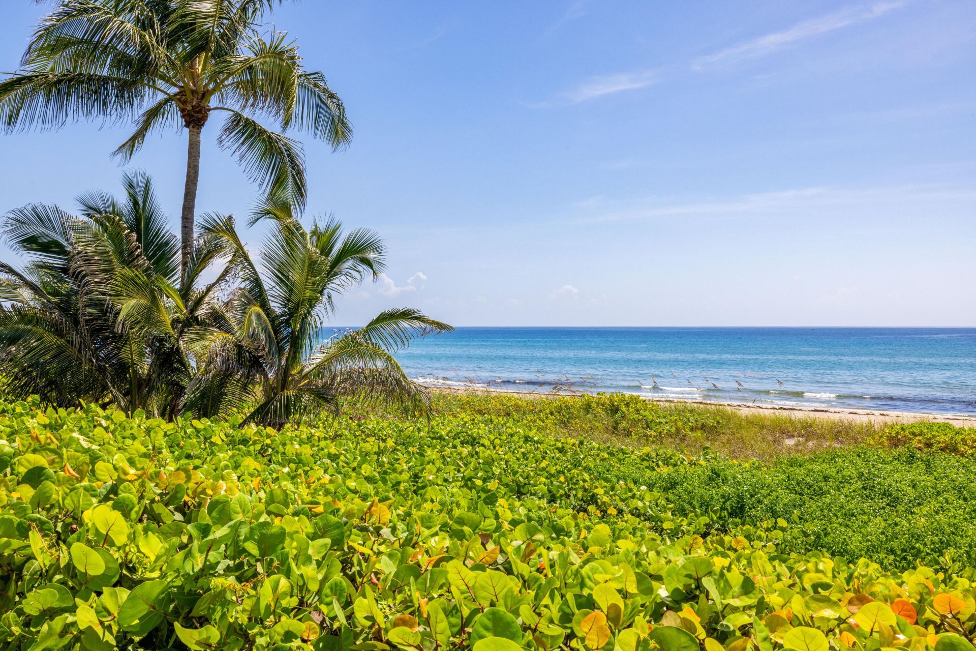 2565 S Ocean Boulevard, Unit 103N, Highland Beach, FL 33487 Photo