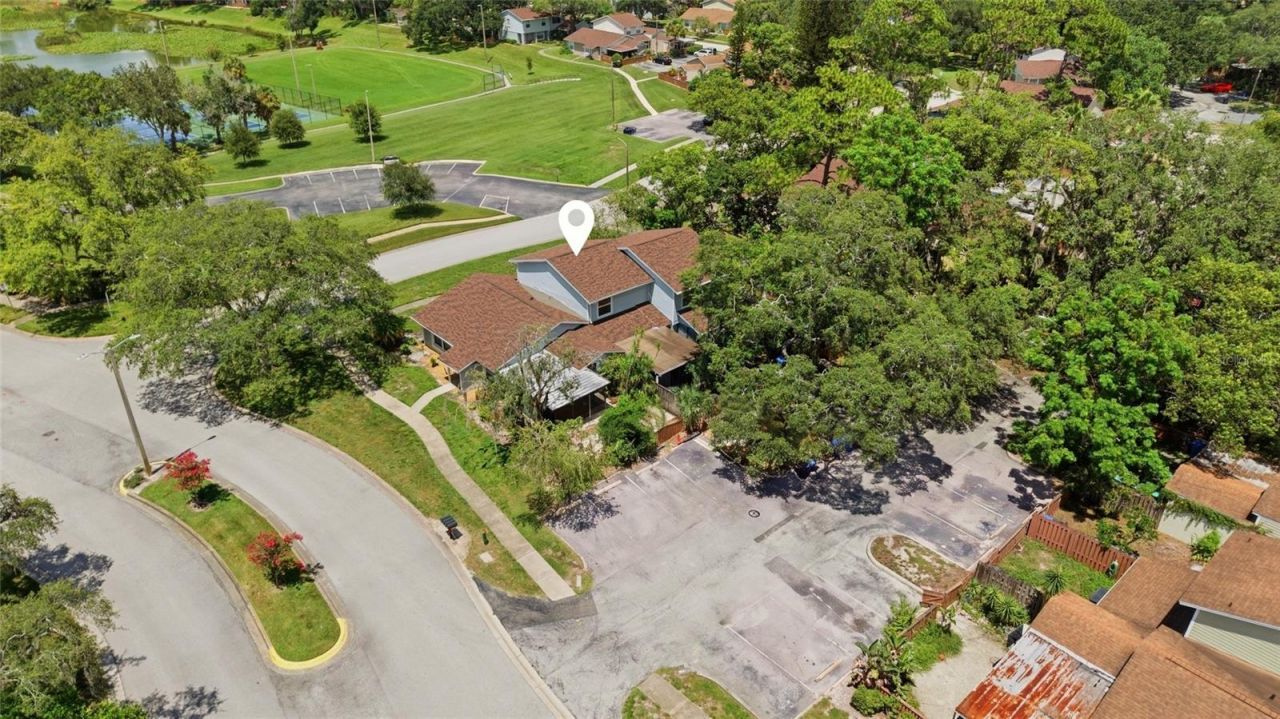 14713 Lake Forest Drive, Lutz, FL 33559 Photo