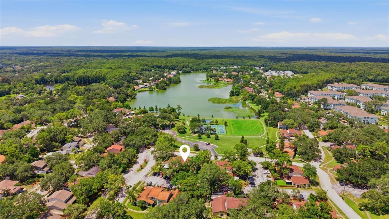 14713 Lake Forest Drive, Lutz, FL 33559 Photo