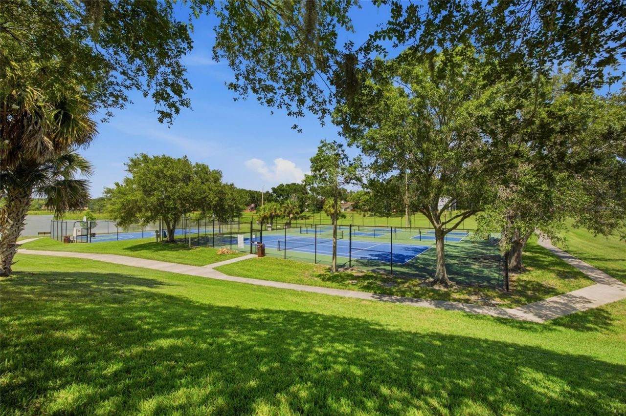 14713 Lake Forest Drive, Lutz, FL 33559 Photo