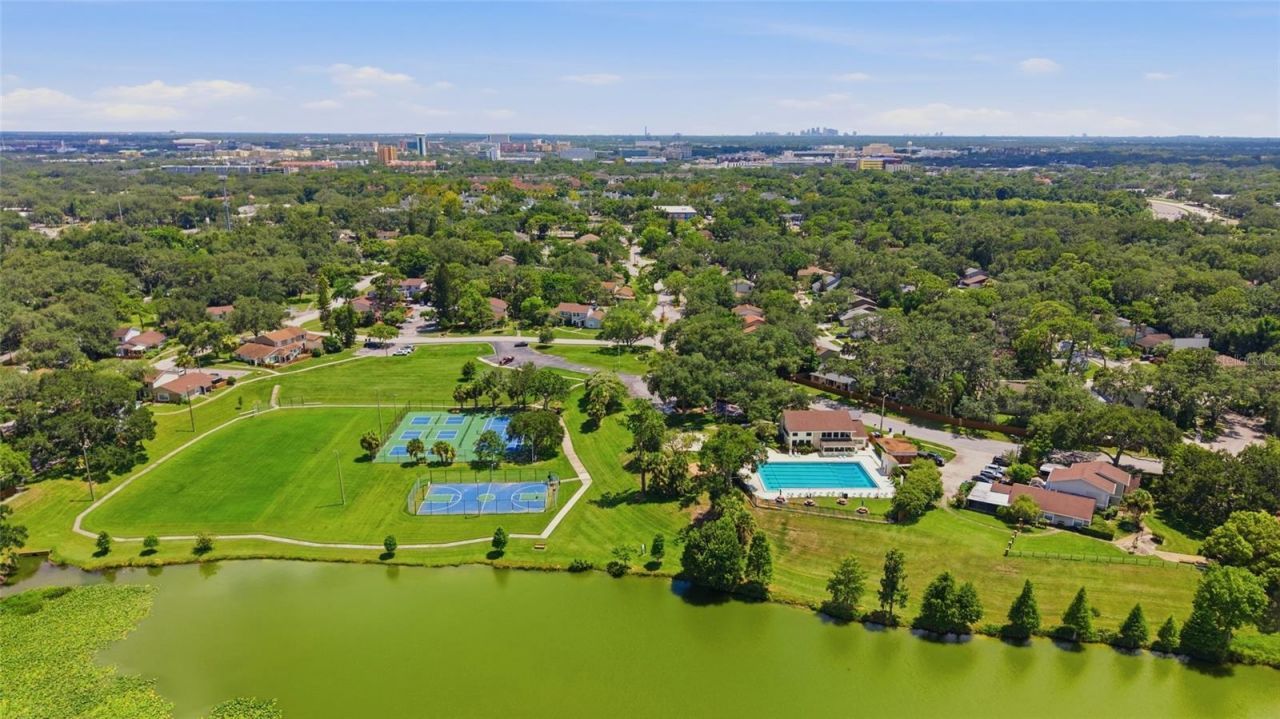 14713 Lake Forest Drive, Lutz, FL 33559 Photo