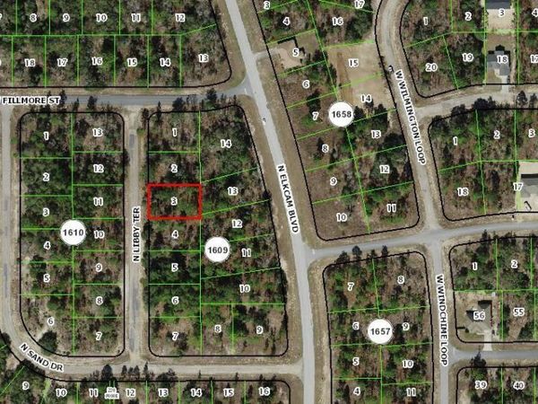 6673 N LIBBY TERRACE , CITRUS SPRINGS, FL 34433