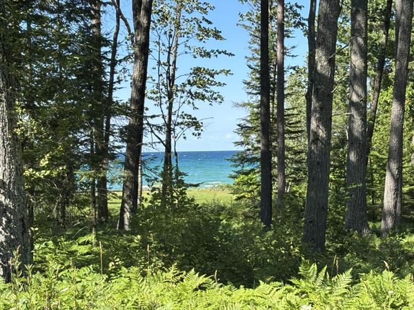 Parcel C Evergreen Highway, Rogers City, MI 49779
