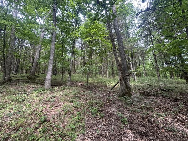 TBD S Hagans Road, Ashland, MO 65010