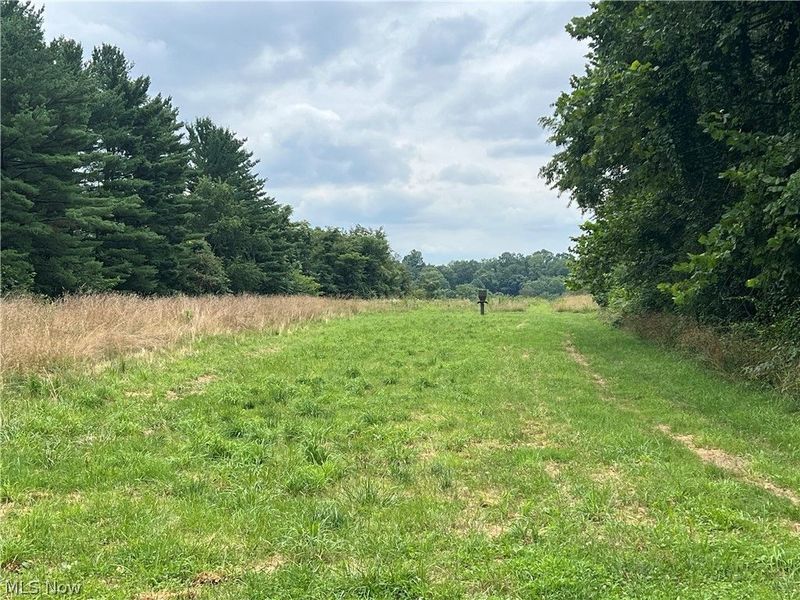 64508 Slade B Road, Cambridge, OH 43725 Photo 13