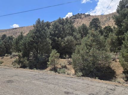 1548 Moss Circle, Gardnerville, NV 89410 Photo