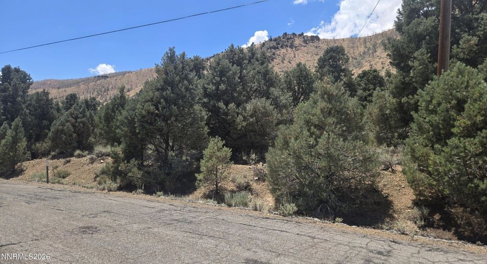 1548 Moss Circle, Gardnerville, NV 89410 Photo