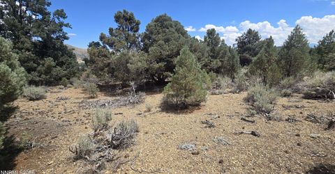 1548 Moss Circle, Gardnerville, NV 89410 Photo