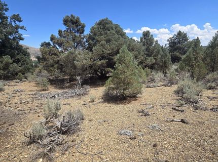 1548 Moss Circle, Gardnerville, NV 89410 Photo