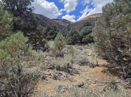 1548 Moss Circle, Gardnerville, NV 89410 Photo