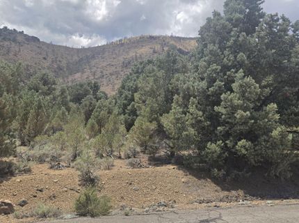 1548 Moss Circle, Gardnerville, NV 89410 Photo