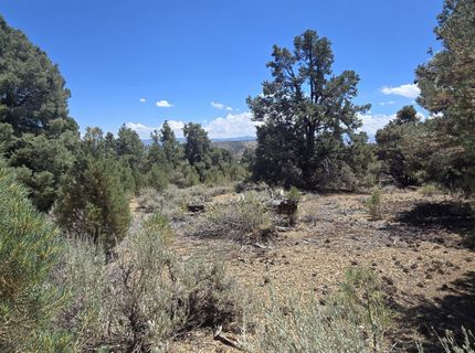 1548 Moss Circle, Gardnerville, NV 89410 Photo