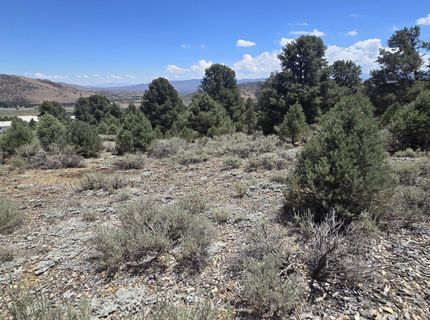 1548 Moss Circle, Gardnerville, NV 89410 Photo