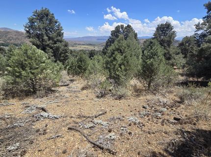 1548 Moss Circle, Gardnerville, NV 89410 Photo