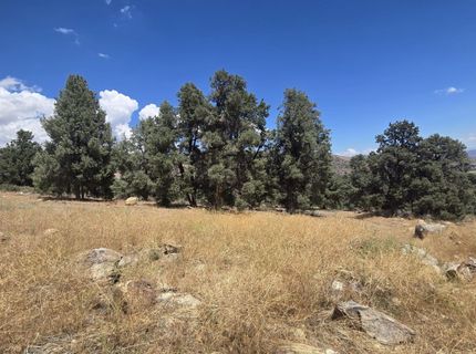 1548 Moss Circle, Gardnerville, NV 89410 Photo