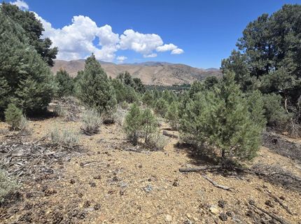 1548 Moss Circle, Gardnerville, NV 89410 Photo