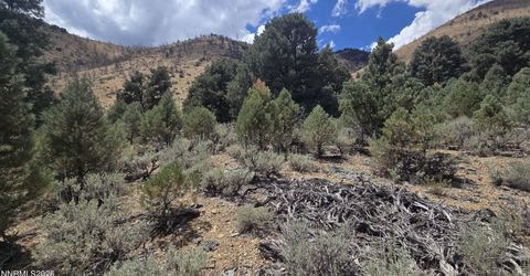 1548 Moss Circle, Gardnerville, NV 89410 Photo