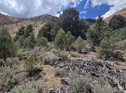 1548 Moss Circle, Gardnerville, NV 89410 Photo