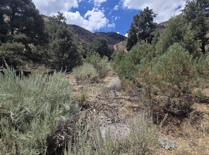 1548 Moss Circle, Gardnerville, NV 89410 Photo